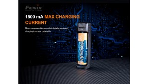 Fenix ARE-X1 V2.0 - Încărcător Inteligent
