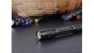 Fenix FD20